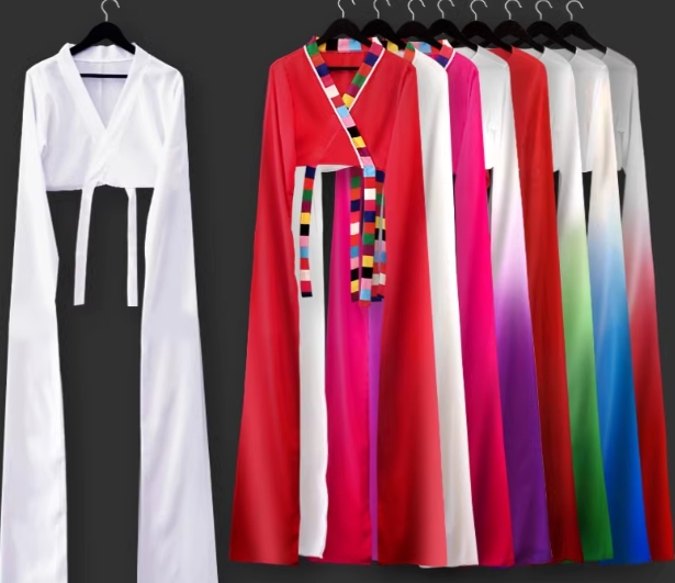 兒童驚鴻舞甩袖成人藏族舞蹈服古典演出服練功水袖服裝上衣女袖子